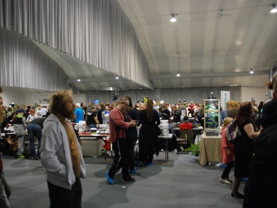 Expo Stockholm