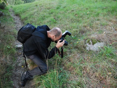 Anders fotar salamander