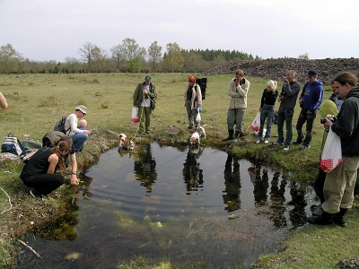 På Öland 2004