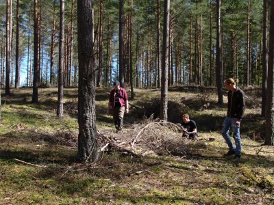 Sandödlejakt